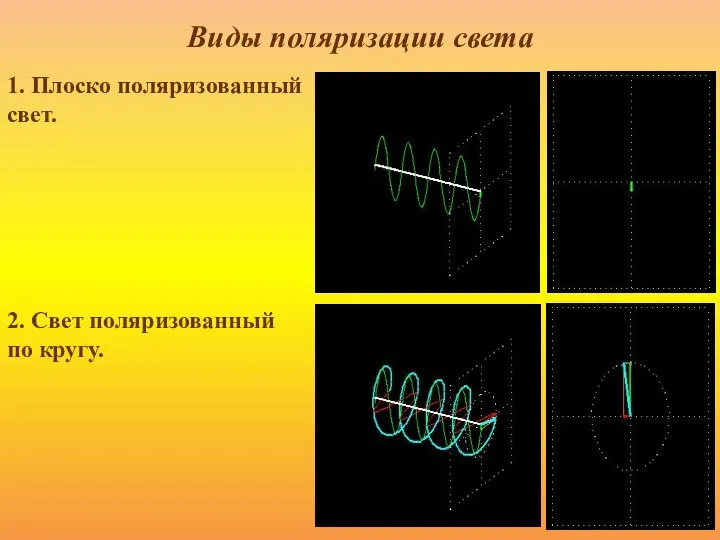Виды поляризации света 1. Плоско поляризованный свет. 2. Свет поляризованный по кругу.
