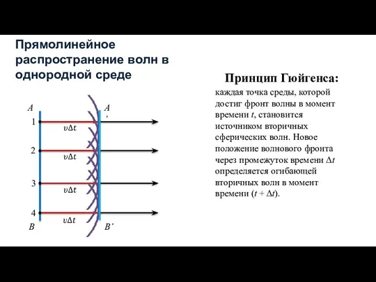 Прямолинейное распространение волн в однородной среде каждая точка среды, которой достиг