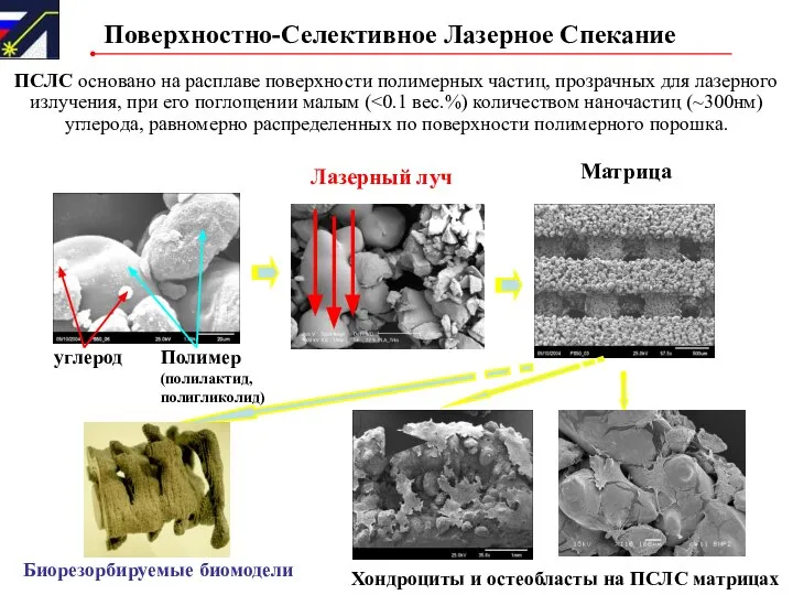 Поверхностно-Селективное Лазерное Спекание ПСЛС основано на расплаве поверхности полимерных частиц, прозрачных