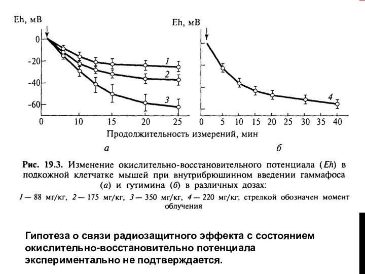 Гипотеза о связи радиозащитного эффекта с состоянием окислительно-восстановительно потенциала экспериментально не подтверждается.