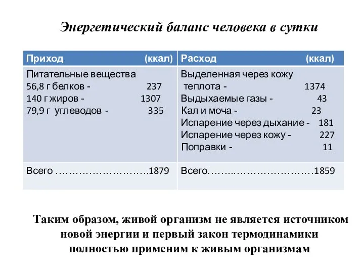 Энергетический баланс человека в сутки Таким образом, живой организм не является