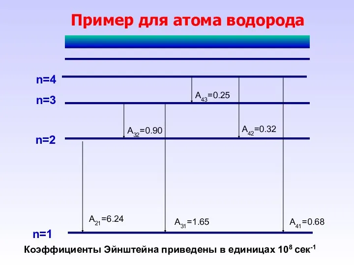 Пример для атома водорода n=1 n=2 n=3 n=4 A21=6.24 A31=1.65 A41=0.68