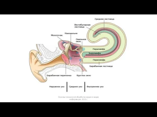 Основы технологий обработки аудио и видео информации 2015 г.