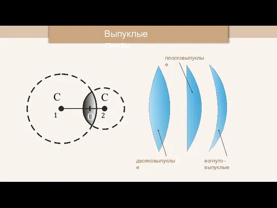 Выпуклые линзы С1 С2 O двояковыпуклые плосковыпуклые вогнуто–выпуклые