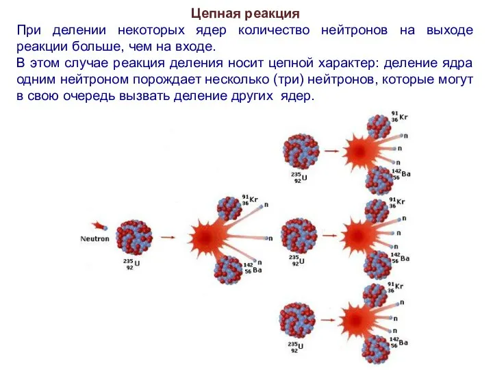 Цепная реакция При делении некоторых ядер количество нейтронов на выходе реакции