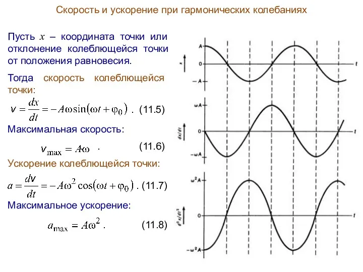 Скорость и ускорение при гармонических колебаниях Пусть x – координата точки