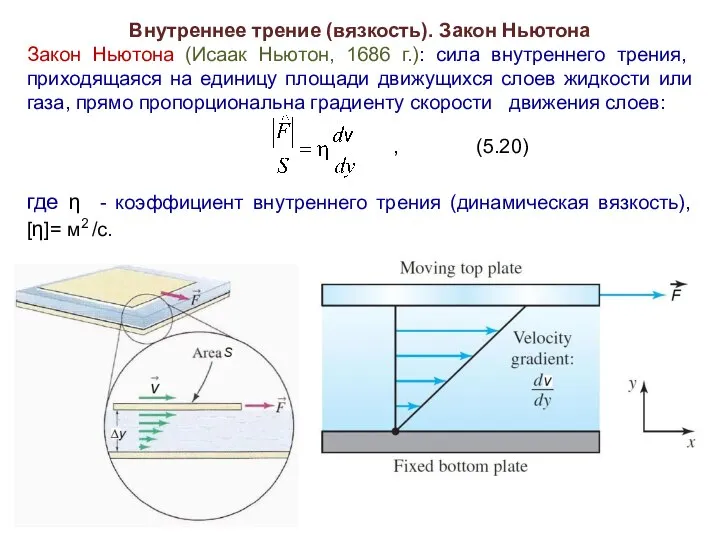 Внутреннее трение (вязкость). Закон Ньютона Закон Ньютона (Исаак Ньютон, 1686 г.):