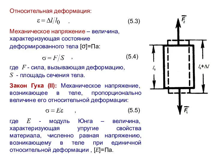 Относительная деформация: . (5.3) Механическое напряжение – величина, характеризующая состояние деформированного