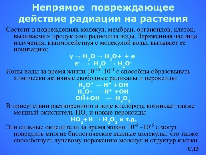 Непрямое повреждающее действие радиации на растения Состоит в повреждениях молекул, мембран,