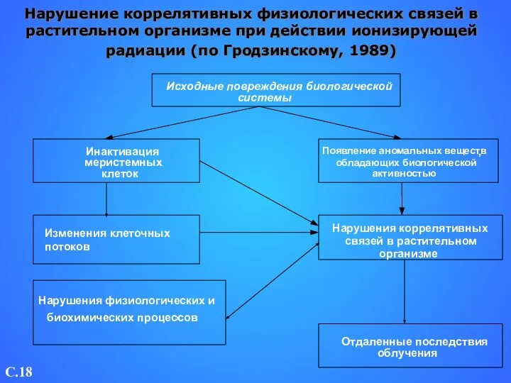 Нарушение коррелятивных физиологических связей в растительном организме при действии ионизирующей радиации (по Гродзинскому, 1989) C.18