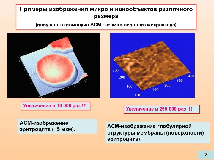 АСМ-изображение эритроцита (~5 мкм). Примеры изображений микро и нанообъектов различного размера