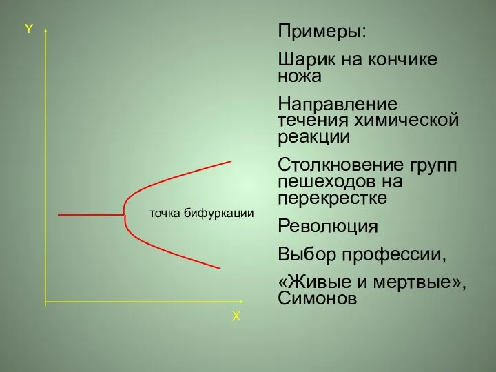 X Y точка бифуркации Примеры: Шарик на кончике ножа Направление течения