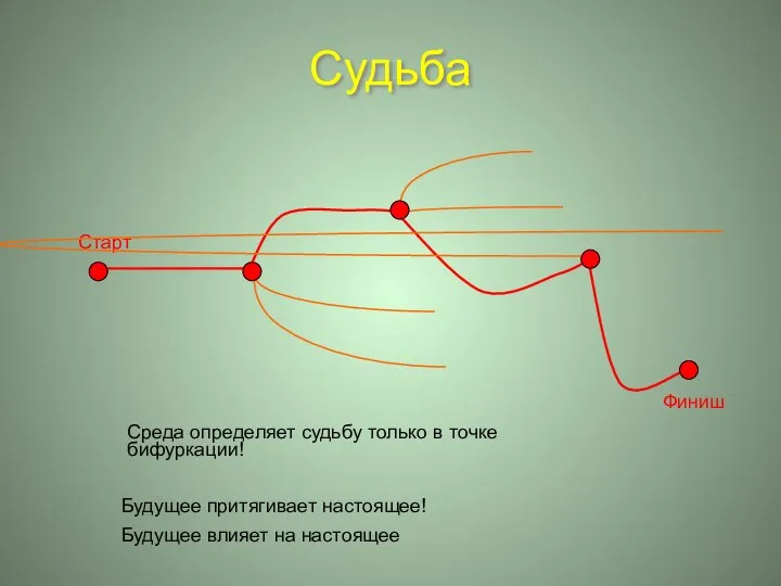 Судьба Старт Среда определяет судьбу только в точке бифуркации! Будущее притягивает настоящее! Будущее влияет на настоящее