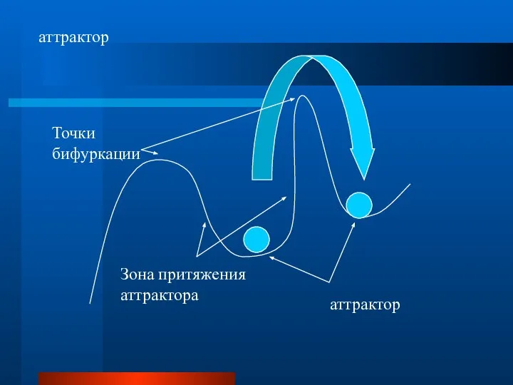 аттрактор аттрактор Зона притяжения аттрактора Точки бифуркации