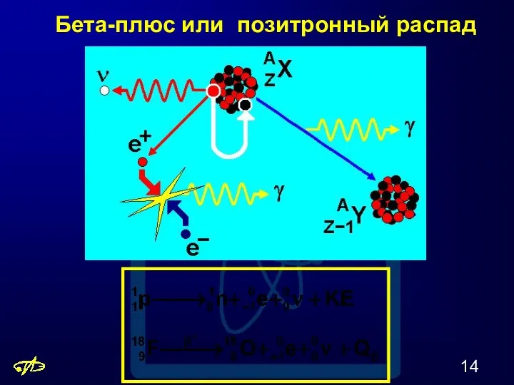 Бета-плюс или позитронный распад