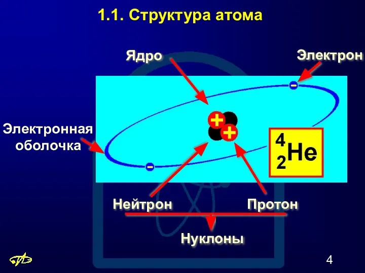 1.1. Структура атома Электрон Протон Нейтрон Нуклоны Ядро Электронная оболочка