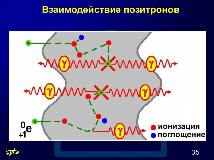 Взаимодействие позитронов