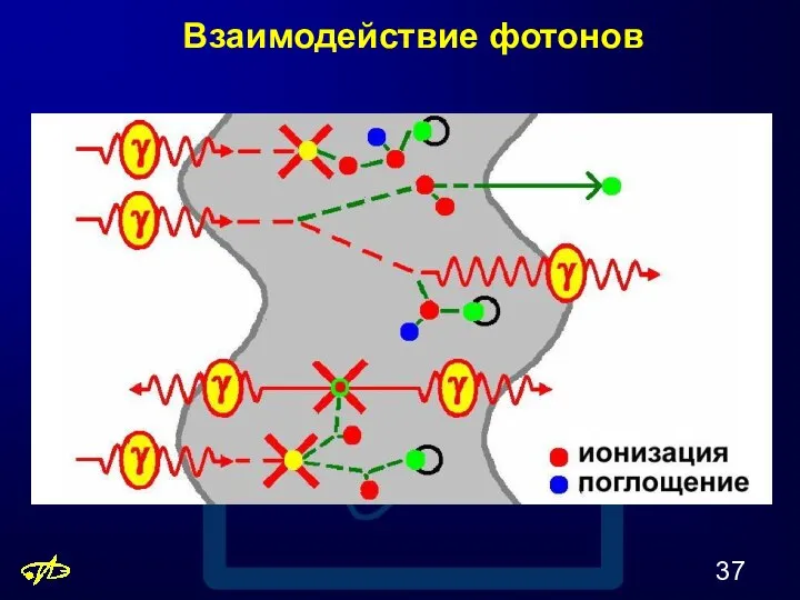 Взаимодействие фотонов