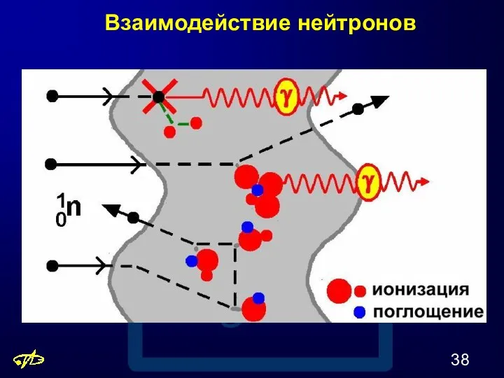 Взаимодействие нейтронов