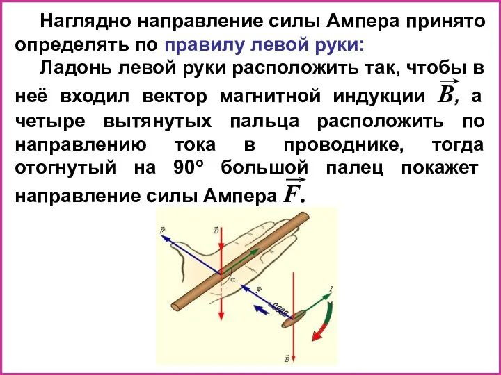 Наглядно направление силы Ампера принято определять по правилу левой руки: Ладонь