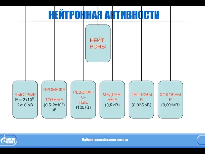 НЕЙТРОННАЯ АКТИВНОСТИ