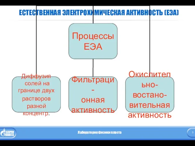 ЕСТЕСТВЕННАЯ ЭЛЕКТРОХИМИЧЕСКАЯ АКТИВНОСТЬ (ЕЭА)