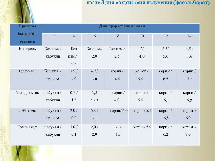 после 3 дня воздействия излучения (фасоль/горох)