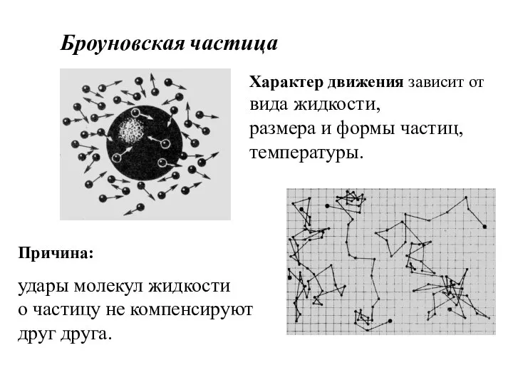 Причина: удары молекул жидкости о частицу не компенсируют друг друга. Характер