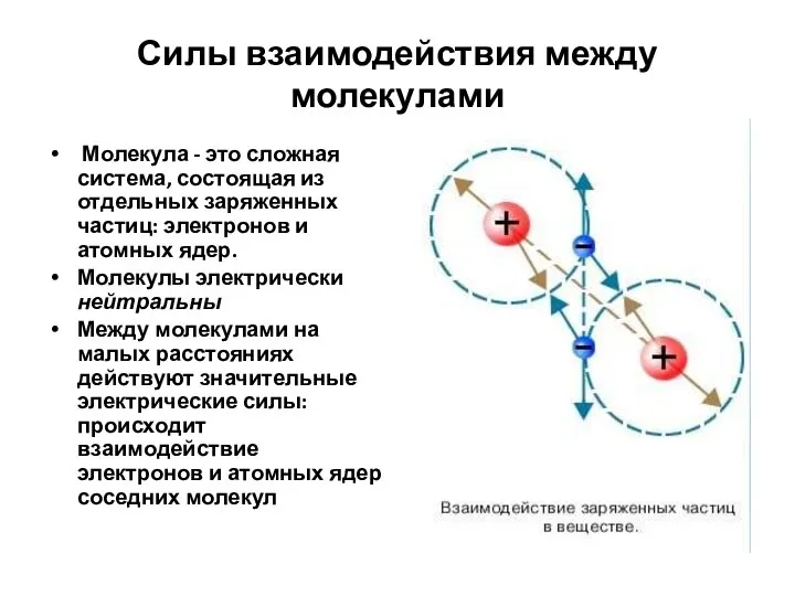 Силы взаимодействия между молекулами Молекула - это сложная система, состоящая из