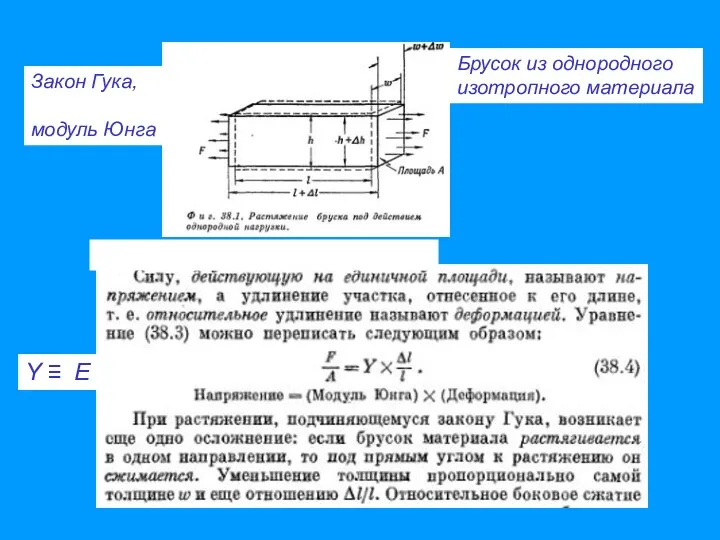 Закон Гука, модуль Юнга Y ≡ E Брусок из однородного изотропного материала