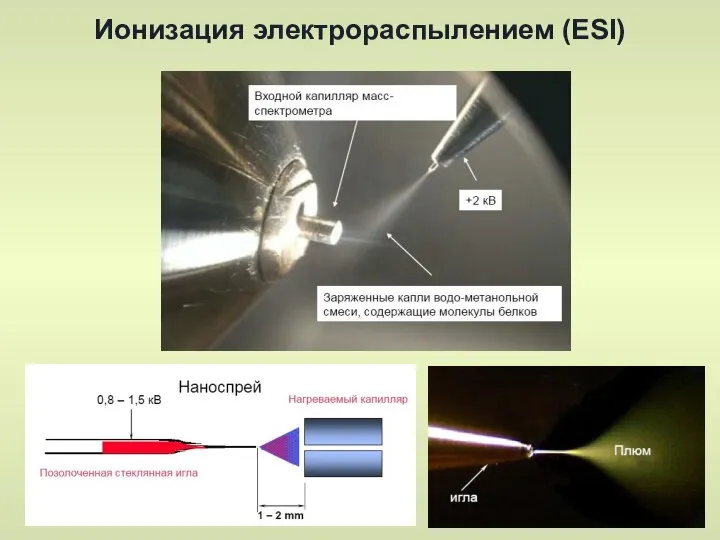 Ионизация электрораспылением (ESI)