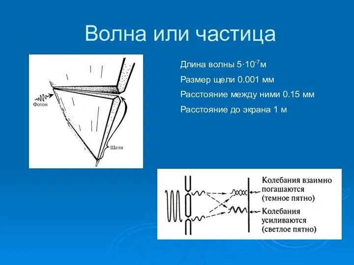 Волна или частица Длина волны 5·10-7м Размер щели 0.001 мм Расстояние