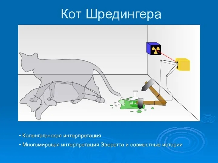 Кот Шредингера Копенгагенская интерпретация Многомировая интерпретация Эверетта и совместные истории