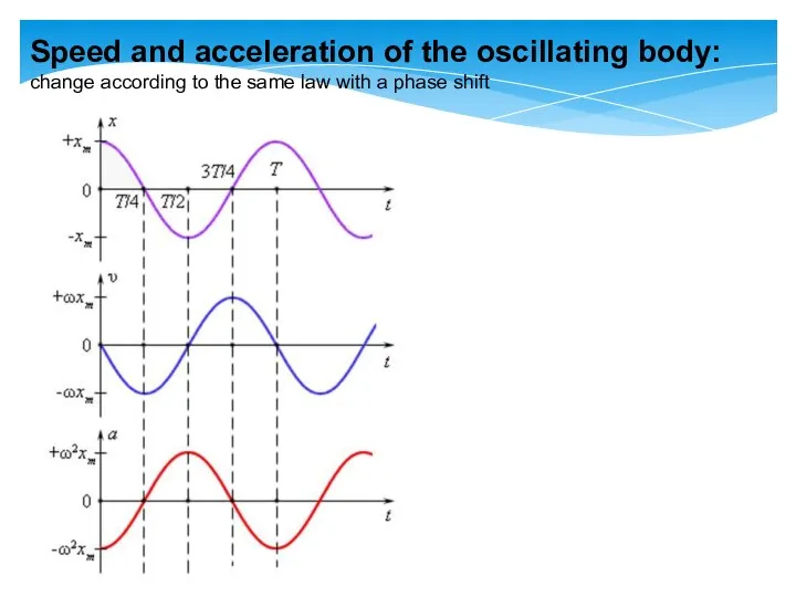 Speed and acceleration of the oscillating body: change according to the