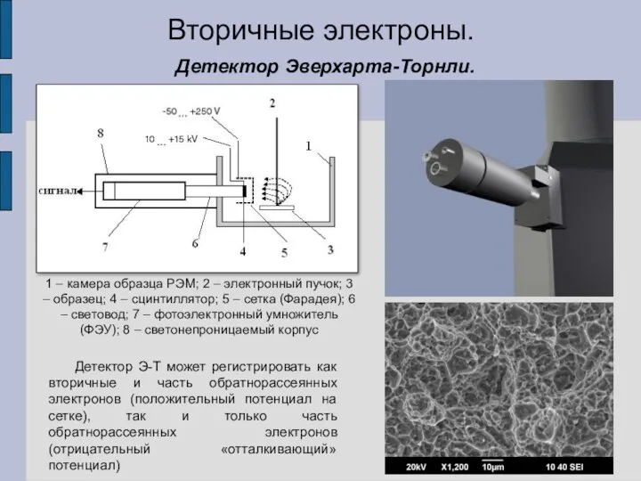 Вторичные электроны. Детектор Эверхарта-Торнли. 1 – камера образца РЭМ; 2 –