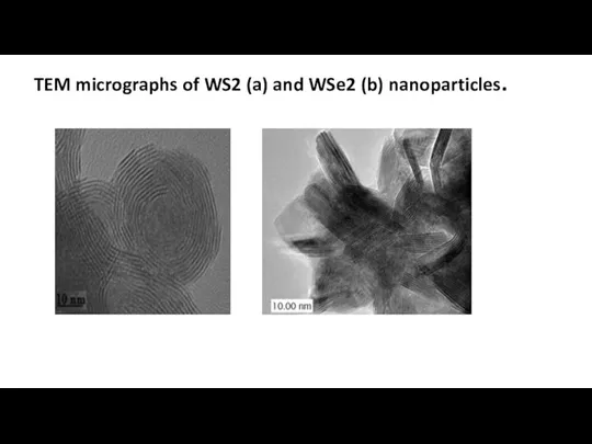 TEM micrographs of WS2 (a) and WSe2 (b) nanoparticles.