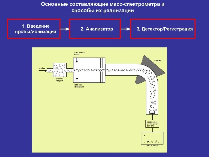 2. Анализатор 3. Детектор/Регистрация 1. Введение пробы/ионизация Основные составляющие масс-спектрометра и способы их реализации