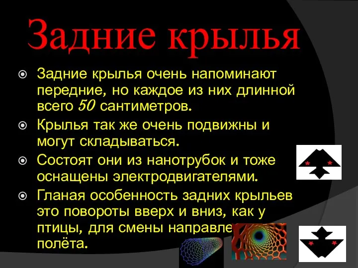 Задние крылья Задние крылья очень напоминают передние, но каждое из них