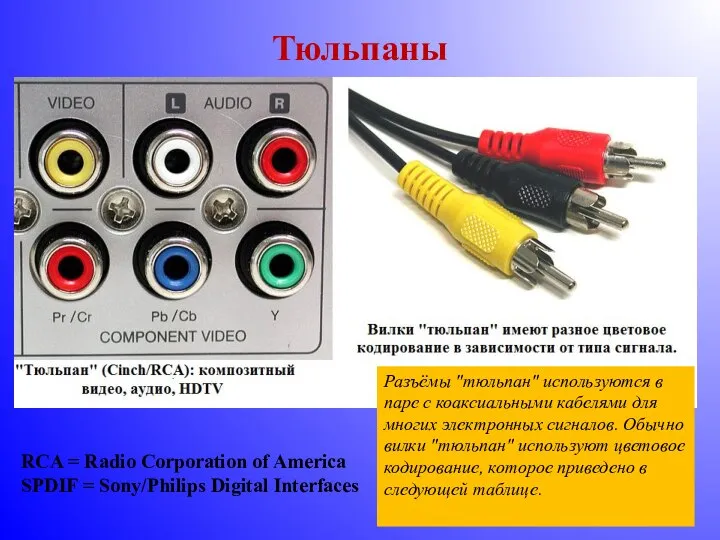 Тюльпаны RCA = Radio Corporation of America SPDIF = Sony/Philips Digital