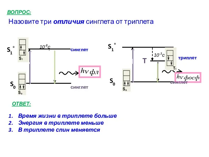 Назовите три отличия синглета от триплета ВОПРОС: синглет S0 S1* S1*