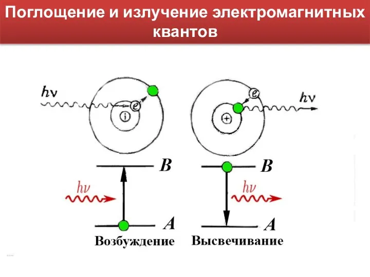 Поглощение и излучение электромагнитных квантов