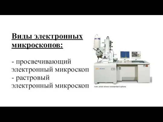 Виды электронных микроскопов: - просвечивающий электронный микроскоп - растровый электронный микроскоп