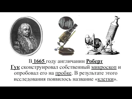 В 1665 году англичанин Роберт Гук сконструировал собственный микроскоп и опробовал