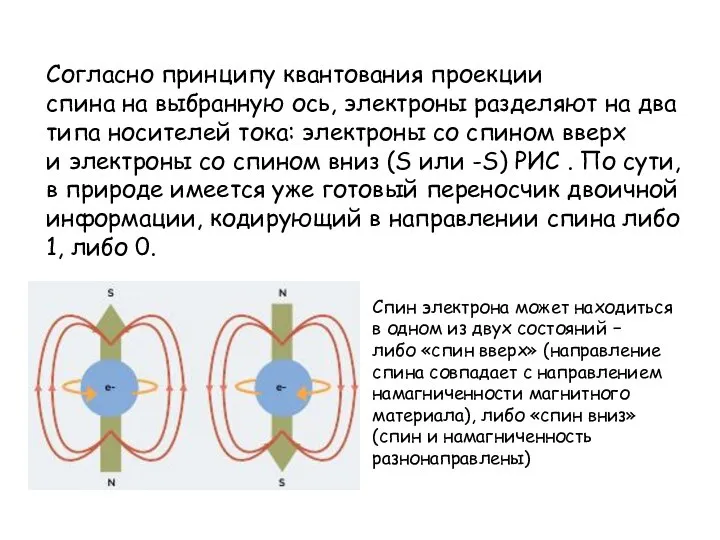 Cогласно принципу квантования проекции спина на выбранную ось, электроны разделяют на