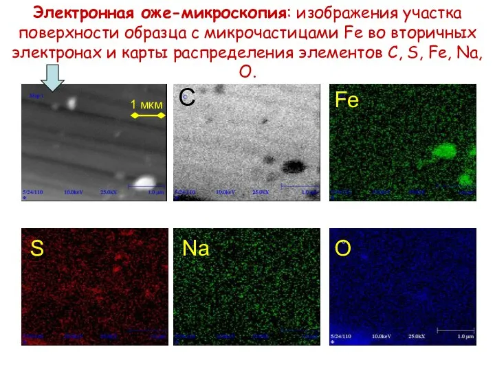Электронная оже-микроскопия: изображения участка поверхности образца с микрочастицами Fe во вторичных