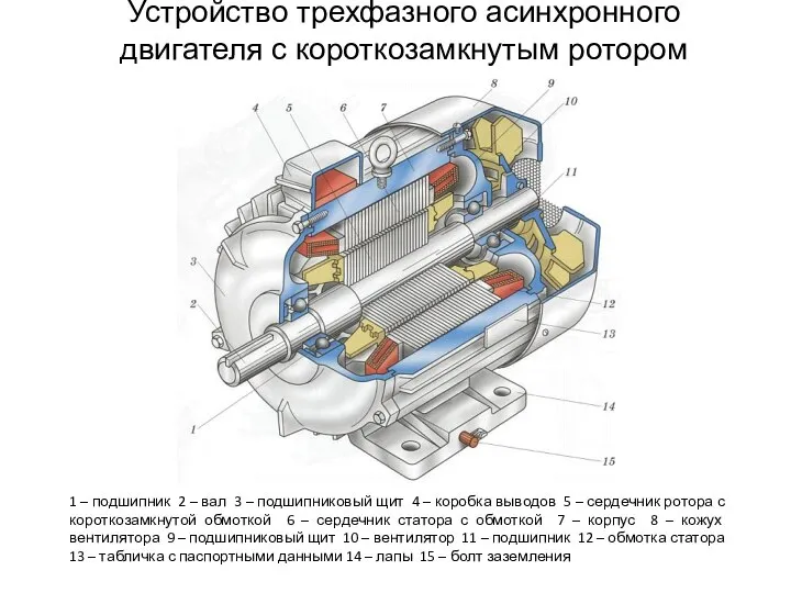 Устройство трехфазного асинхронного двигателя с короткозамкнутым ротором 1 – подшипник 2