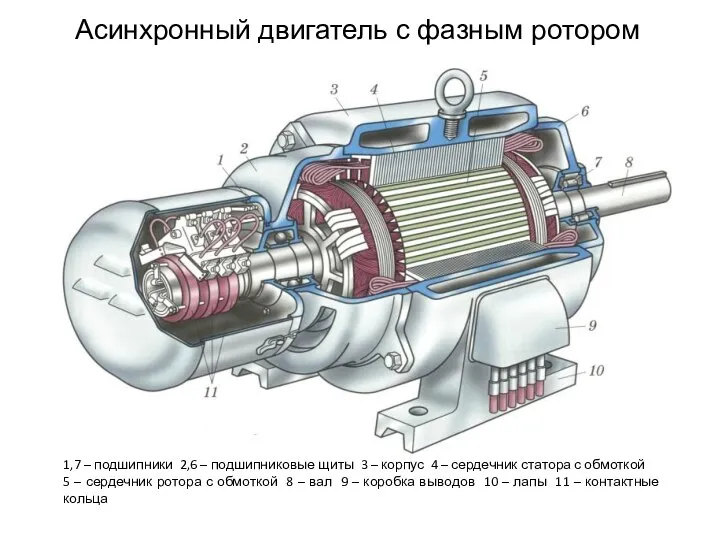 Асинхронный двигатель с фазным ротором 1,7 – подшипники 2,6 – подшипниковые