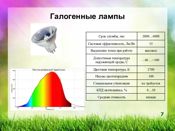 Галогенные лампы