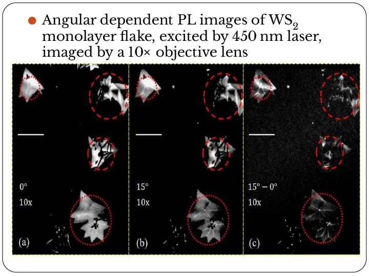 Angular dependent PL images of WS2 monolayer flake, excited by 450