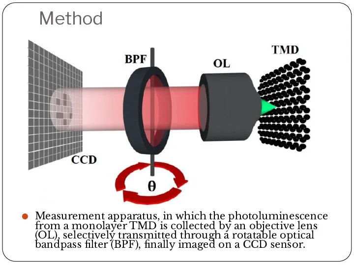 Method Measurement apparatus, in which the photoluminescence from a monolayer TMD